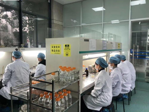 生物選考沖刺提分秘籍 高中生物實驗訓練營寒假開啟，助力未來生物基材料技術研發(fā)